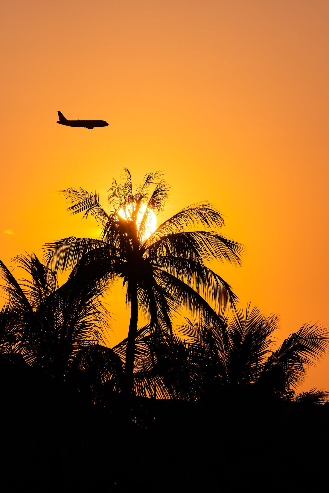 Kona vs. Hilo: Where to Stay on Hawaiʻi's Big Island