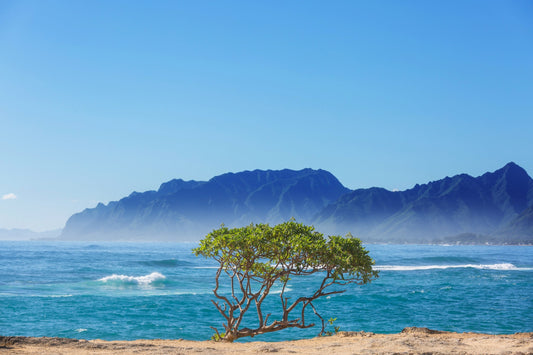 Hurricane Season in Hawaii