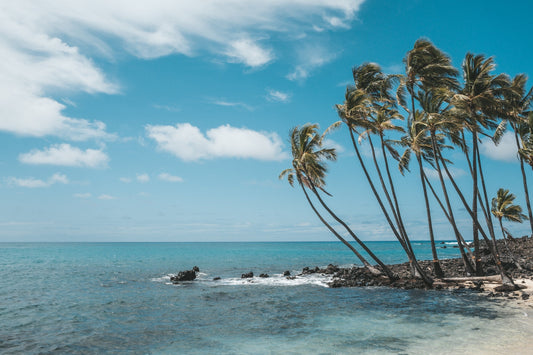When and How to Use Expedia & Hotels.com for Hawaiʻi Vacations