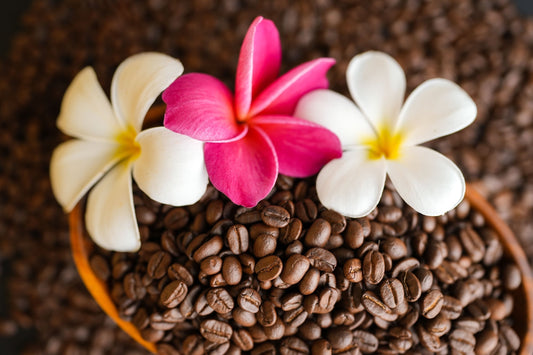 Kona Coffee History & Big Island Farm Tours Guide