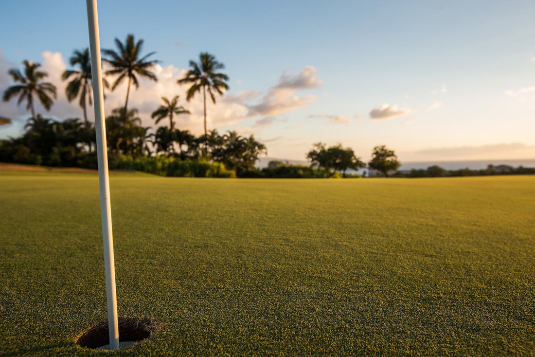 Top Golf Courses in Hawaii by Island