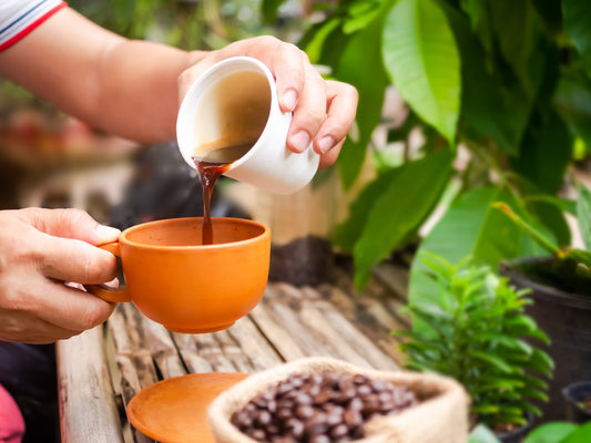 What Makes Kona Coffee So Special in Hawaiʻi