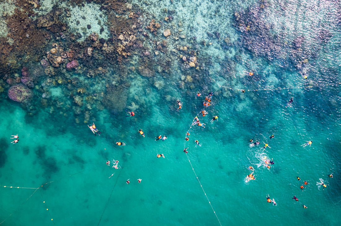 Best Snorkeling & Diving on the Big Island