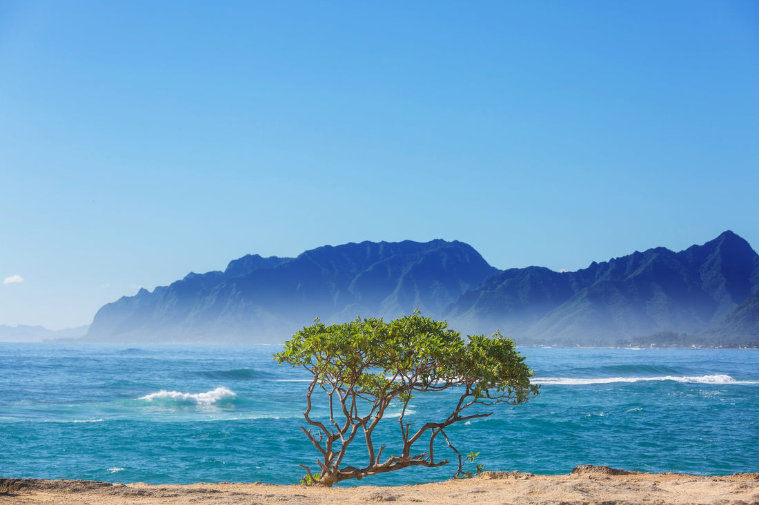 Hurricane Season in Hawaii