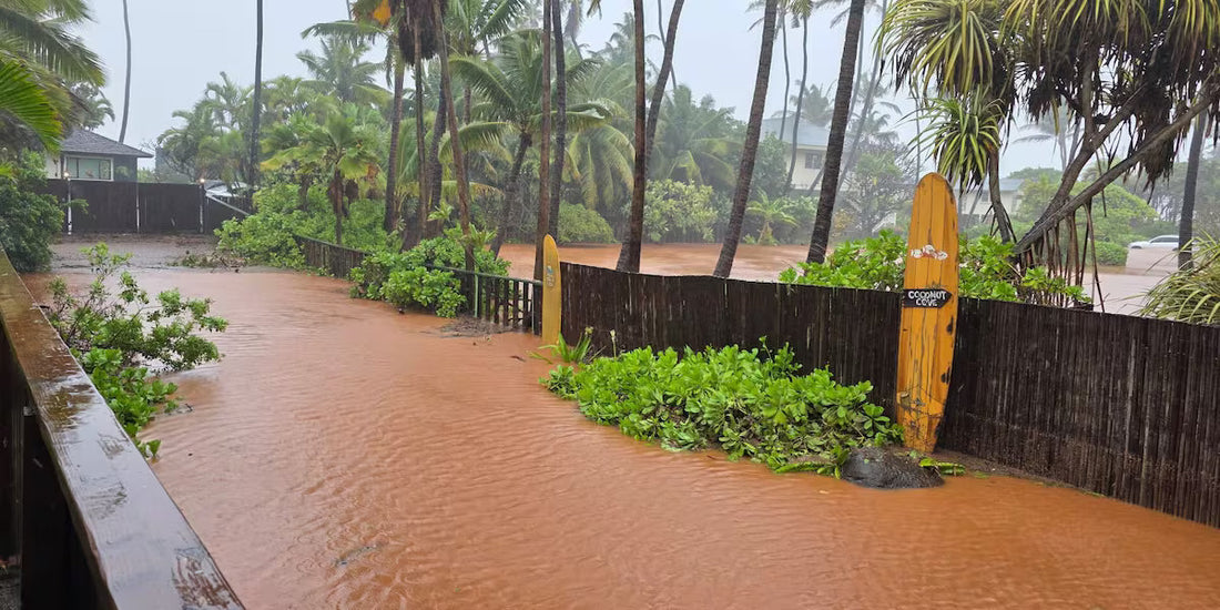 March 2026 Tropical Storm Floods Hawaiʻi: Recovery Efforts