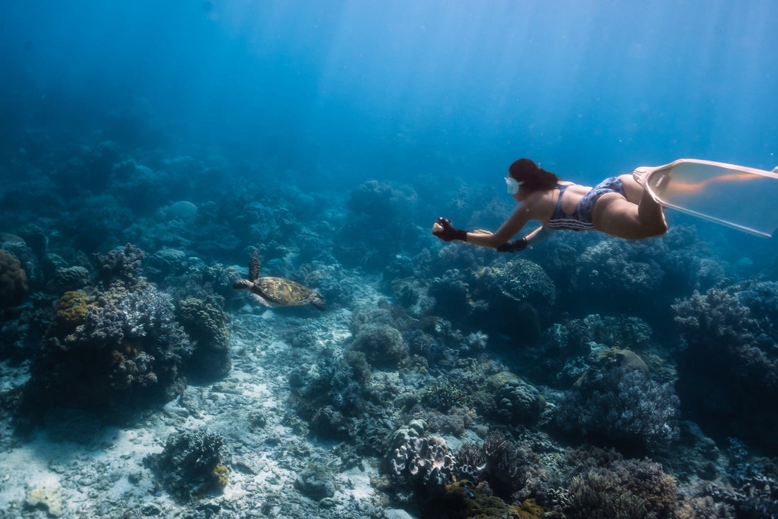 All About the Best Snorkeling & Diving on Kaua‘i