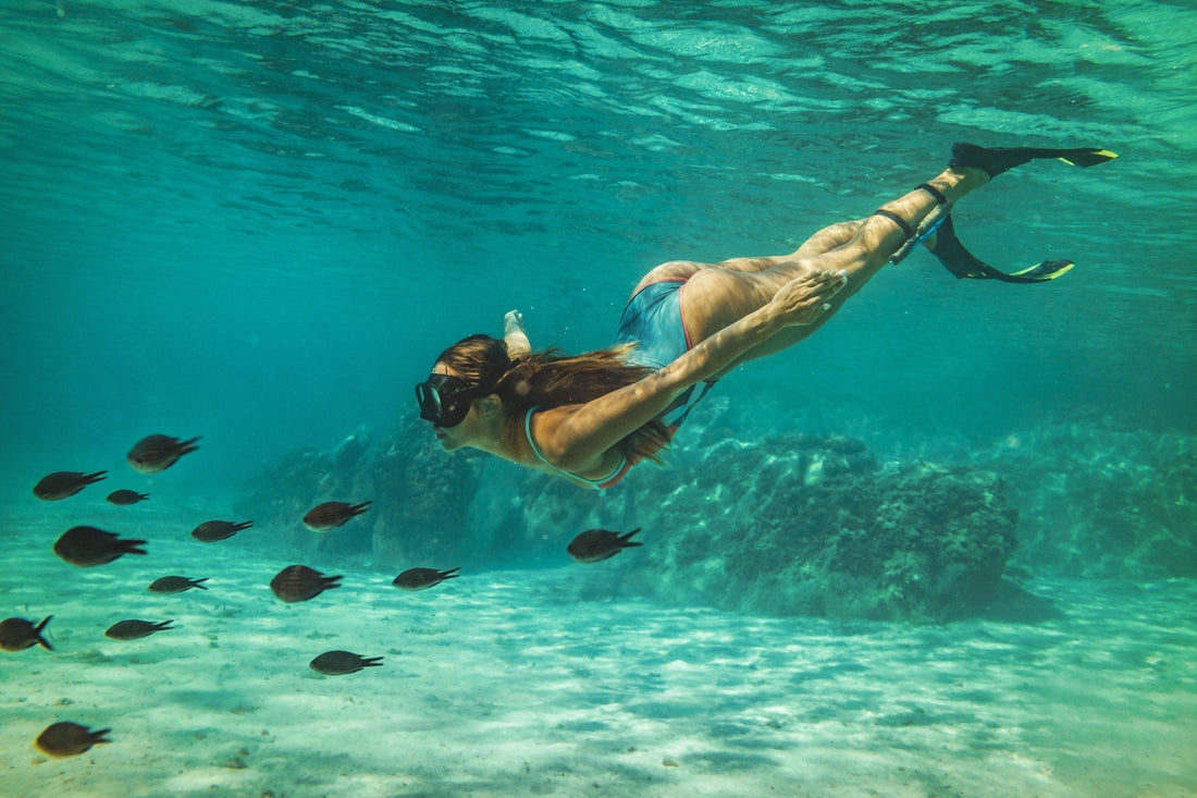 Best Snorkeling & Diving on Maui