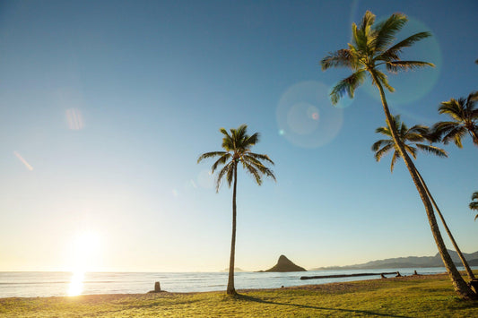 Hawaii's Film Industry: From The 1950s To The Present