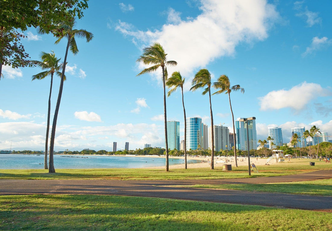 The Origins of Hawaiian Quilting
