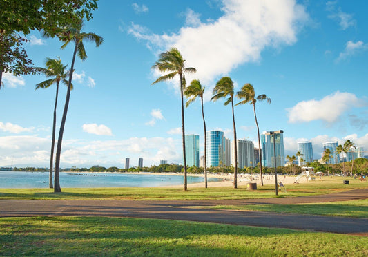 The Origins of Hawaiian Quilting