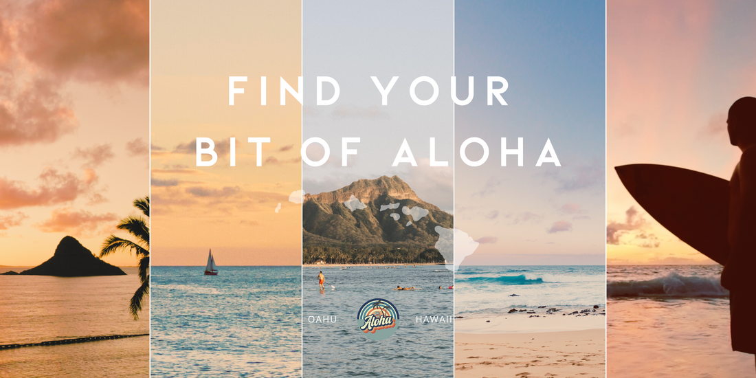 Welcome to Bits of Aloha's New Store